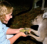 Discovery Bay's Walk on the Wild Side - Attractions Perth