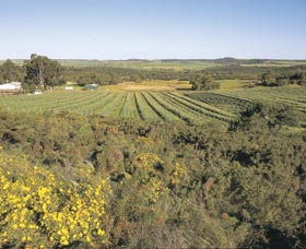 Chapman Valley Scenic Drive - Attractions Perth 0