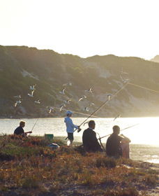 Culham Inlet - Attractions Perth 0