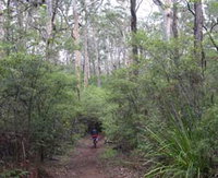 Margaret River Rails Trail