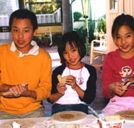 Peel Pottery - Attractions Perth