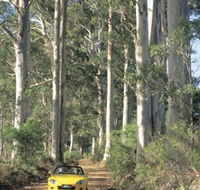 Scotsdale Tourist Drive - Attractions Perth
