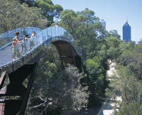 Lotterywest Federation Walkway - Attractions Perth 0
