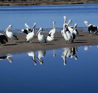 Peel Region Canoe Trails - Attractions Perth
