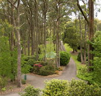 Mount Lofty Botanic Garden - Attractions Perth