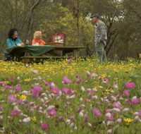 Gwambygine Park - Attractions Perth