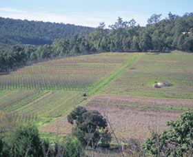 Darling Range - Attractions Perth 0