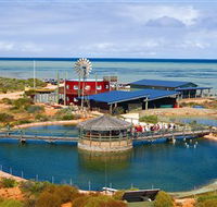 Ocean Park Aquarium - Attractions Perth