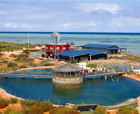 Ocean Park Aquarium - Attractions Perth 0