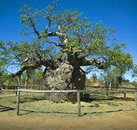 Pigeon Heritage Trail - Attractions Perth