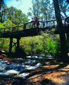 Barrabup Pool - Attractions Perth 0