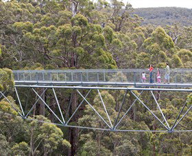 Walpole Wilderness Discovery Centre - Attractions Perth 0