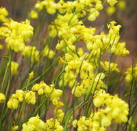 Mount Madden Scenic Drive - Attractions Perth