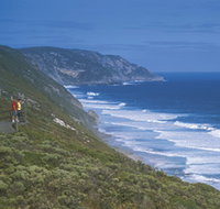 Sandpatch - Attractions Perth