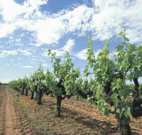 Blackwood Meadery - Attractions Perth