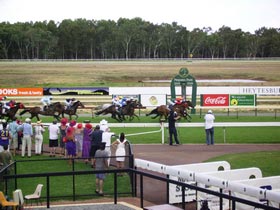Pinjarra Race Club - Attractions Perth 0