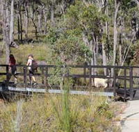 Forest Path Crooked Brook - Attractions Perth