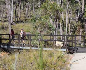 Forest Path, Crooked Brook - Attractions Perth 0