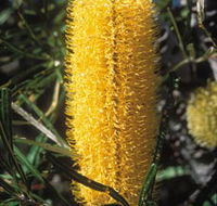 Moore River National Park - Attractions Perth