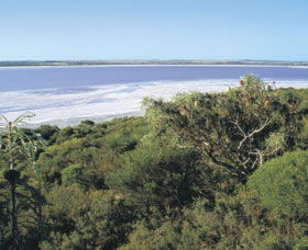 Pink Lake - Attractions Perth 0