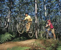 Leeuwin-Naturaliste National Park - Cowaramup