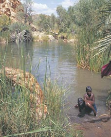 Palm Springs - Attractions Perth 0