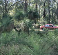 Bridgetown Jarrah Park - Attractions Perth