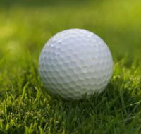 Collier Park Golf Course - Attractions Perth