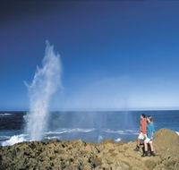 The Blowholes Carnarvon - Attractions Perth