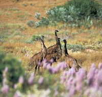 Jurabi Coastal Reserve - Attractions Perth
