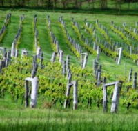 Sienna Estate Winery - Attractions Perth