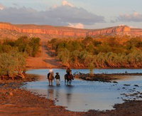 Pentecost River