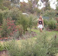 The Mythic Mazes - Attractions Perth