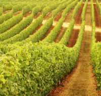 Darlington Estate Winery and Restaurant - Attractions Perth