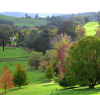Golden Valley Tree Park - Attractions Perth