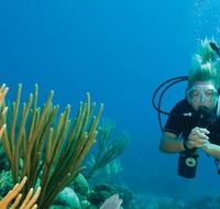 Coastal Water Dive - Attractions Perth