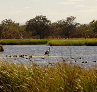 Anytime Adventures in Mandurah  the Peel Region - Attractions Perth