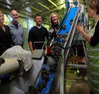 Eyre Peninsula's Seafood Trail - Attractions Perth