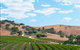 Bethany Wines - thumb 0
