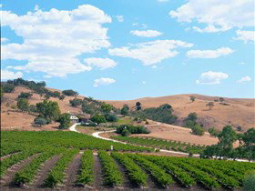 Bethany Wines - Attractions Perth 0