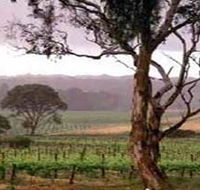 Yangarra Estate Vineyard - Attractions Perth