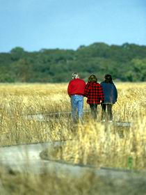Onkaparinga River Recreation Park - Attractions Perth 0