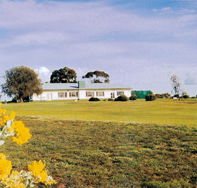 Lucindale Country Club - Attractions Perth