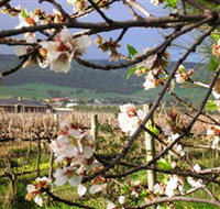 Cradle of Hills McLaren Vale Winery - Attractions Perth