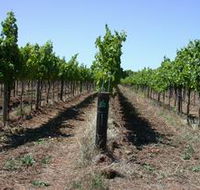 Temple Bruer Winery - Attractions Perth