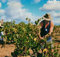 Torbreck Vintners - Attractions Perth