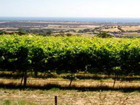  Attractions Perth