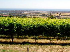 Braydun Hill Vineyard - Attractions Perth 0
