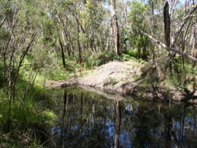 City West Campus SA Attractions Perth