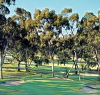 Tanunda Pines Golf Club - Attractions Perth